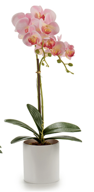 DECO 55249 ORQUIDEE POT ROND BLANC 51CM S 4C