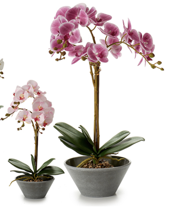 DECO 55259 ORQUIDEE POT AVECIQUE GRIS GR 58CM 4COL