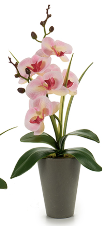 DECO 55269 ORQUIDEE POT AVECIQUE GRIS 37CM SUR 4CL
