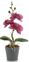 DECO 55279 ORQUIDEE POT ROND GRIS PEQ SUR 4CL