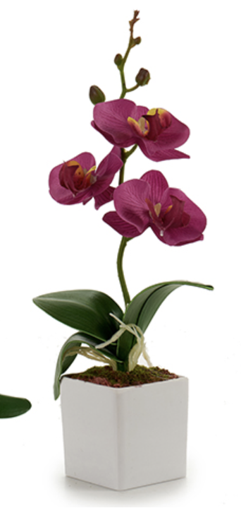 DECO 55282 ORQUIDEE POT CARRE BLANC PETIT SUR 4C