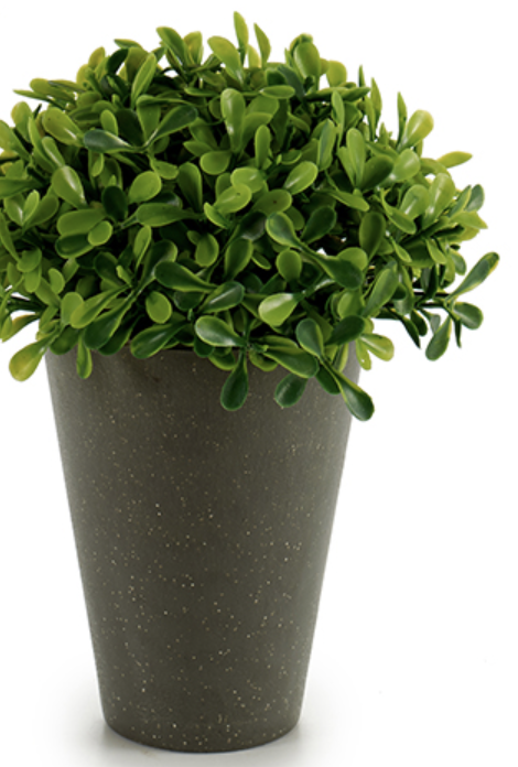 DECO 73510 PLANTE RONDE PLAST POT CIMENT