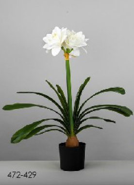 DECO 472-429 POT AMARILIS BLANC 64 CMS