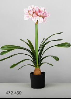 DECO 472-430 POT AMARILIS ROSE 64 CMS