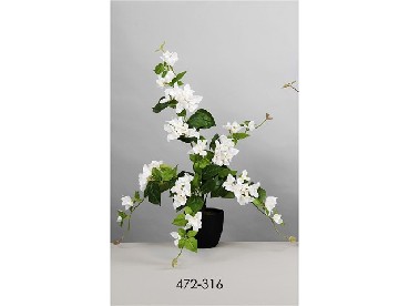 DECO 472-316 PLANTE BUGANVILLA BLANC 70 CMS