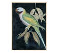 DECO 106609 CADRE IMPRESSION FLORES ROSE-BLANC