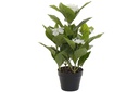 DECO JA-172275 PLANTE PVC 47X45X63 HORTENSIA