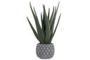 DECO JA-181865 PLANTE PE GR S 20X20X47 ALOE VERA VERT