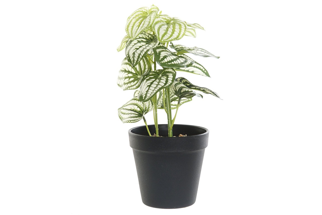 DECO JA-187740 PLANTE PVC PLASTIQUE 13X13X27 VERT