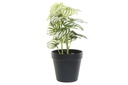 DECO JA-187740 PLANTE PVC PLASTIQUE 13X13X27 VERT