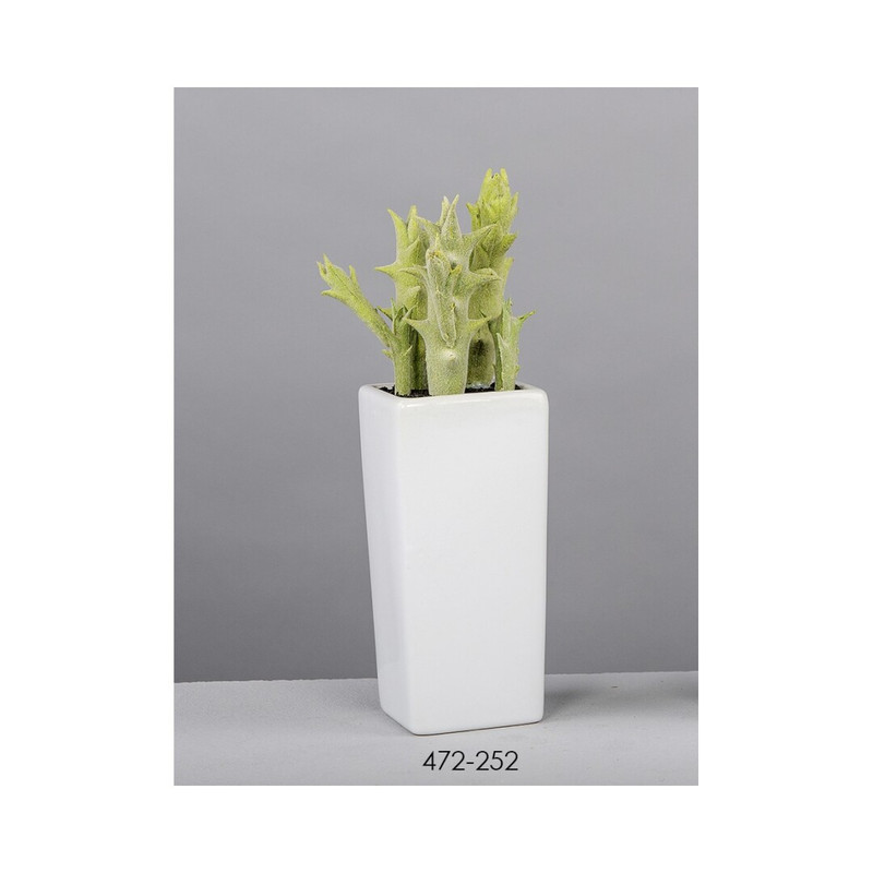 DECO 472-252 POT CACTUS 7*7*24 cm