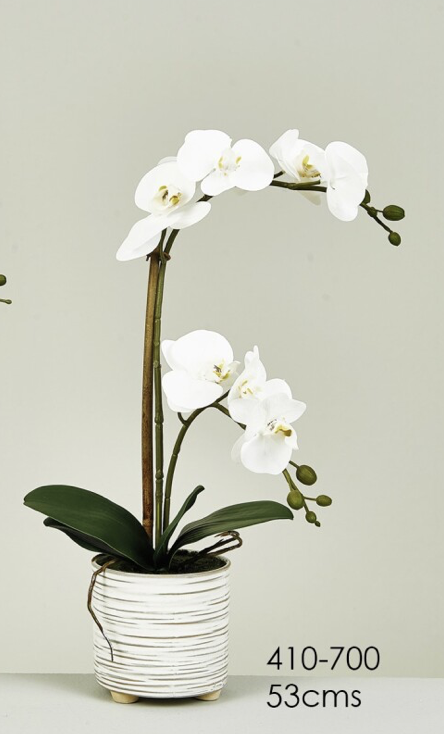 DECO 410-700 POT ORQUIDEE PHALAENOPSIS REAL TOUCH BLANCHE 53 cm