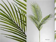 DECO 472-457 BRANCHE ARECA 90 cm