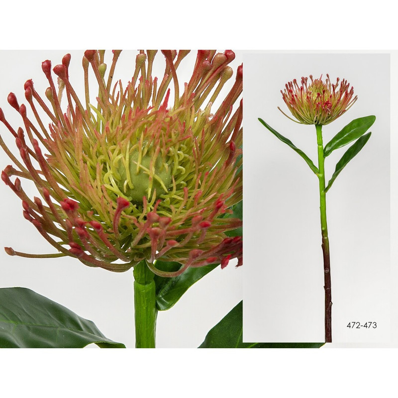 DECO 472-473 PROTEA CALDERA 43 cm
