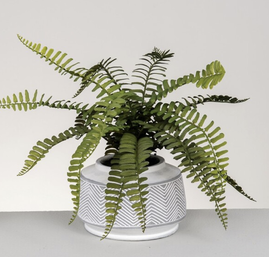 DECO 472-510 POT FOUGERE 15*23 cm