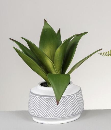 DECO 472-511 POT AGAVE 15*26 cm