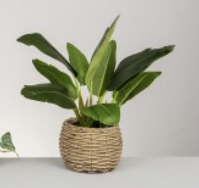 DECO 472-523 POT BANANIER 25*32 cm