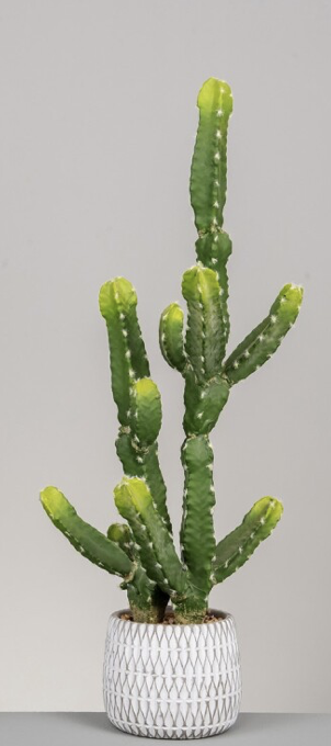 DECO 472-536 POT CEREUS 25*76 cm