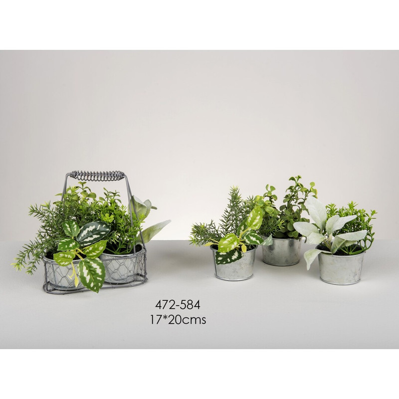DECO 472-584 PLATEAU PLANTES AROMATQUES 17*20 cm