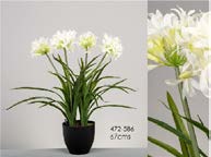 DECO 472-586 POT NARCIS BLANC 67 cm