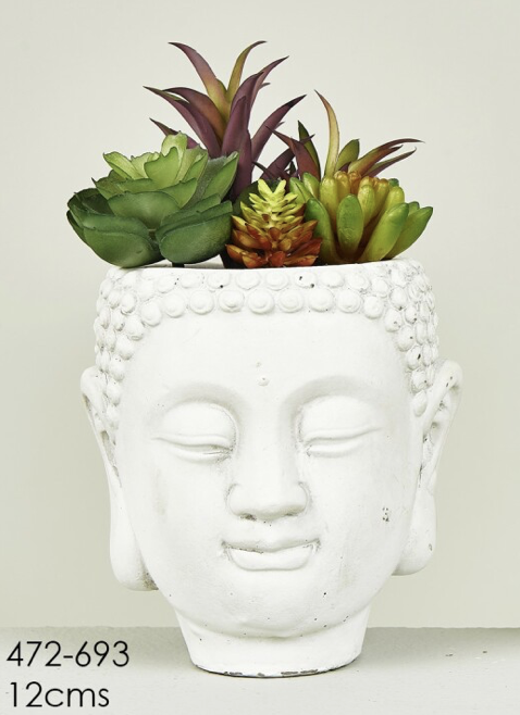 DECO 472-693 POT PLANTES GRASSES 12 cm