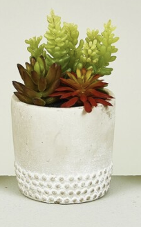 DECO 472-695 POT PLANTES GRASSES 19 cm