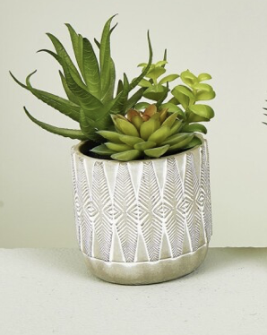 DECO 472-696 POT PLANTES GRASSES 19 cm