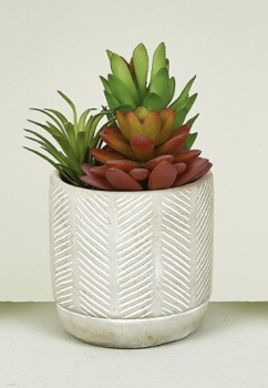 DECO 472-697 POT PLANTES GRASSES 18 cm