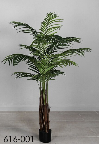 DECO 616-001 PLANTE ARECA 160 cm