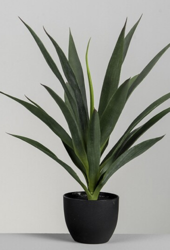 DECO 616-019 PLANTE YUCCA 55 cm