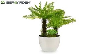 DECO 20799 PALMIER ARTIFIC 2TRONC POT BLANC 33CM