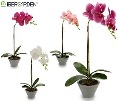 DECO 55265 ORQUIDEE POT CONICA GRIS 43CM SUR 4CL
