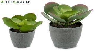 DECO 55753 POT PLANTE FEUILLE RONDE 2 COL SURT