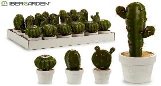 DECO 57541 POT BLANC CACTUS GR SURT 4