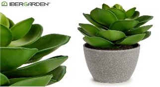 DECO 77062 POT PLANTE FEUILLE LARGE GRANDE
