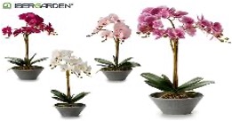 DECO 55256 ORQUIDEE POT OVAL GRIS 47CM SUR 4COL