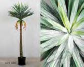 DECO 472-404 POT YUCA 150cms
