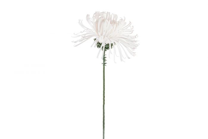 DECO JA-139555 FLEUR EVE 30X134 25 12 FLEURS WHITE