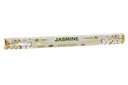 DECO IN-41139 ENCENS STICK SET 10 AROME 42X5X5 42 CM. JASMIN