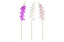 DECO JA-181941 FLEUR PES PVC 14X7X91 ORCHIDAE 3 MOD.