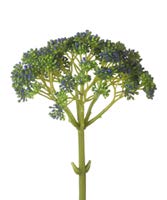 DECO 740645 FLEUR ANGELICA SPRAY H460MM BLUE/GRN