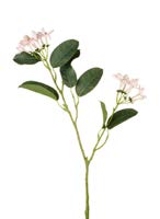 DECO 760277 FLEUR STEPHANOTIS SPRAY H530MM LT PINK