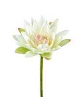 DECO 780297 FLEUR LOTUS STEM H750MM WHITE POLYESTER