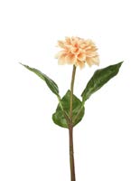 DECO 790424 FLEUR DAHLIA STEM H430X110MM APRICOT PLASTIC / POLYESTER