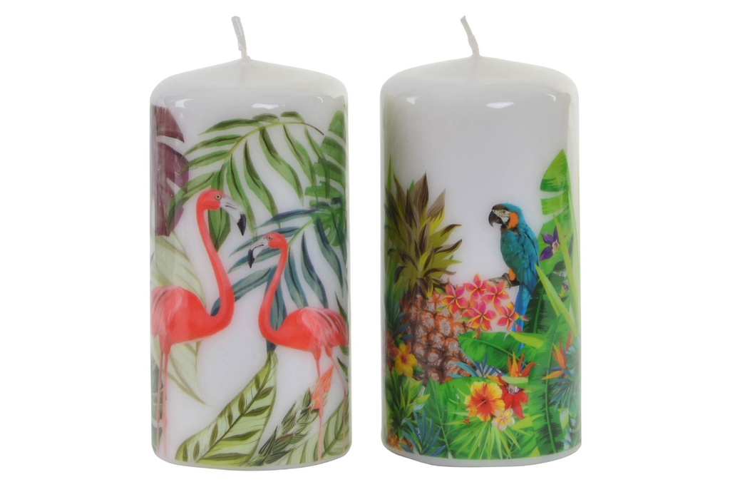 DECO VE-145324 BOUGIE CIRE 7X14 TROPICAL 2 MOD