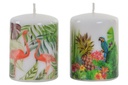 DECO VE-145326 BOUGIE CIRE 6X8 TROPICAL 2 MOD