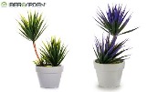 DECO 22210 POT ROND FEUILLE POINTUE ASSORT 2 MODELS