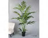 DECO 472-125 PLANTE KENTYA 230 * 70 (DIAM) CMS