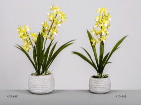 DECO 410-648 POT ORQUIDEA CYMBIDIUM VERDE 49 CMS