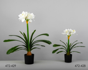 DECO 472-428 POT AMARILIS BLANC 46CMS